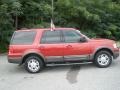 2004 Redfire Metallic Ford Expedition XLT  photo #2