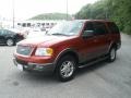 2004 Redfire Metallic Ford Expedition XLT  photo #13