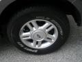 2004 Redfire Metallic Ford Expedition XLT  photo #16