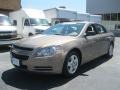 Amber Bronze Metallic - Malibu LS Sedan Photo No. 2