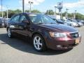 Dark Cinnamon - Sonata GLS V6 Photo No. 4