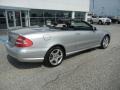 Brilliant Silver Metallic - CLK 500 Cabriolet Photo No. 3