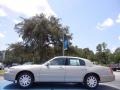 Light French Silk Metallic 2011 Lincoln Town Car Signature Limited Exterior