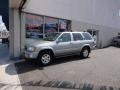Sierra Silver Metallic - Pathfinder LE 4x4 Photo No. 2