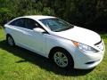 Porcelain White Pearl - Sonata GLS Photo No. 1