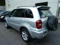 Titanium Metallic - RAV4 4WD Photo No. 2