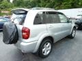 Titanium Metallic - RAV4 4WD Photo No. 4