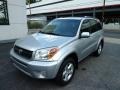 Titanium Metallic - RAV4 4WD Photo No. 11