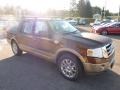 2011 Golden Bronze Metallic Ford Expedition EL King Ranch 4x4  photo #6