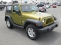 Rescue Green Metallic - Wrangler X 4x4 Photo No. 6