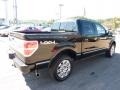 Black - F150 Lariat SuperCrew 4x4 Photo No. 4