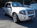 2010 Ingot Silver Metallic Ford Expedition Limited 4x4  photo #3