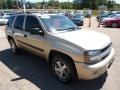 2005 Sandstone Metallic Chevrolet TrailBlazer LS 4x4  photo #6