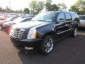 2011 Black Raven Cadillac Escalade ESV Premium AWD  photo #3