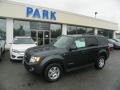 2008 Black Pearl Slate Metallic Ford Escape Limited 4WD  photo #1