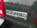 2008 Black Pearl Slate Metallic Ford Escape Limited 4WD  photo #6