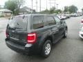 2008 Black Pearl Slate Metallic Ford Escape Limited 4WD  photo #8