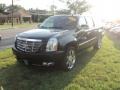 2010 Black Raven Cadillac Escalade ESV Premium AWD  photo #1