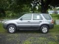Tungsten Grey Metallic - Escape XLS 4WD Photo No. 2