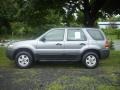 2007 Tungsten Grey Metallic Ford Escape XLS 4WD  photo #2