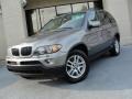 Stratus Grey Metallic - X5 3.0i Photo No. 1
