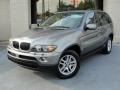 Stratus Grey Metallic - X5 3.0i Photo No. 2