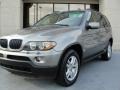 Stratus Grey Metallic - X5 3.0i Photo No. 4