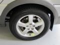 Liquid Silver Metallic - Montana SV6 FWD Photo No. 3