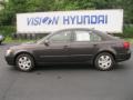 2010 Cocoa Metallic Hyundai Sonata GLS  photo #11