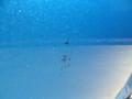 Surf Blue Pearl - Caliber SXT Photo No. 18