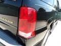 Black Raven - Escalade  Photo No. 22