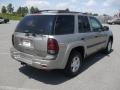 Light Pewter Metallic - TrailBlazer LS 4x4 Photo No. 4