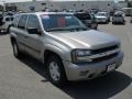 Light Pewter Metallic - TrailBlazer LS 4x4 Photo No. 5