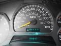 Light Pewter Metallic - TrailBlazer LS 4x4 Photo No. 12