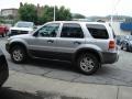 2006 Silver Metallic Ford Escape XLT V6 4WD  photo #5