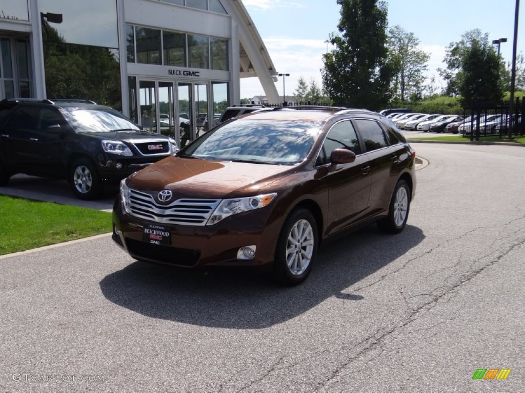 2009 Venza AWD - Sunset Bronze Mica / Ivory photo #1