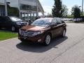 2009 Sunset Bronze Mica Toyota Venza AWD  photo #1