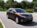 2009 Sunset Bronze Mica Toyota Venza AWD  photo #2