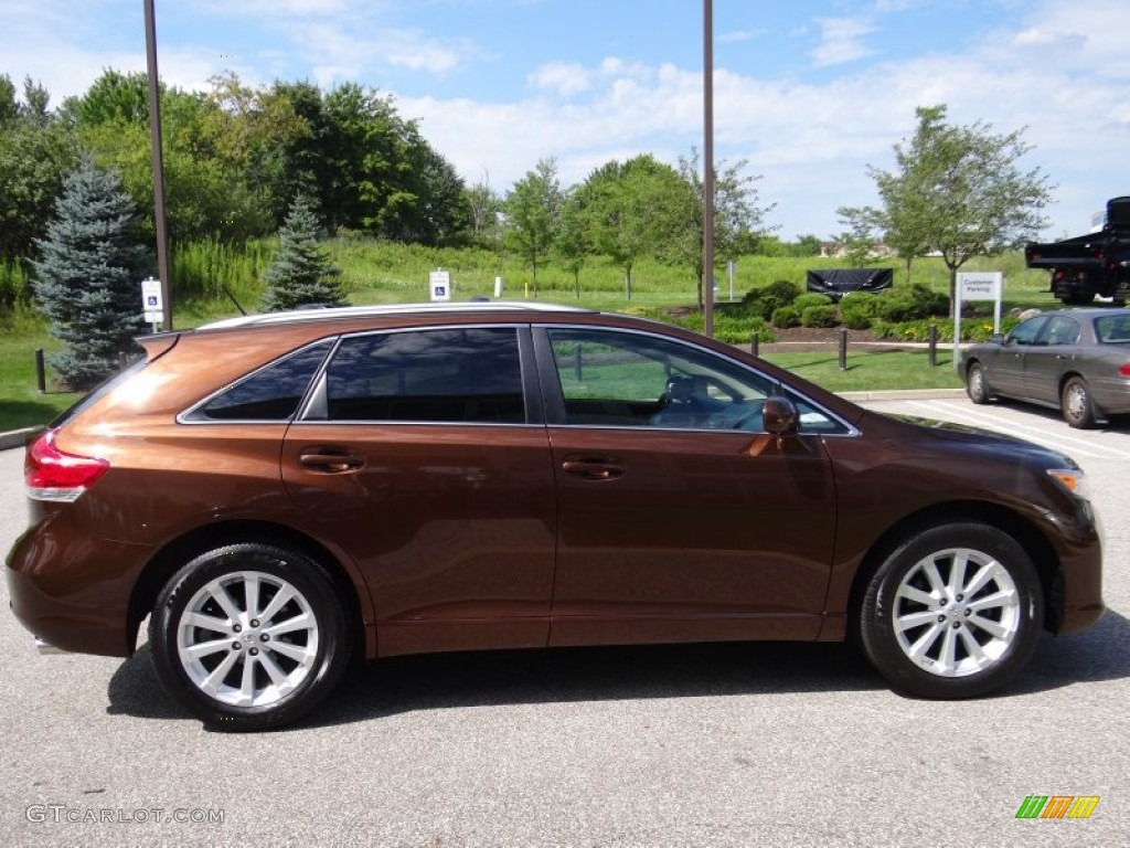 Sunset Bronze Mica 2009 Toyota Venza AWD Exterior Photo #53001649