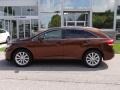 2009 Sunset Bronze Mica Toyota Venza AWD  photo #4