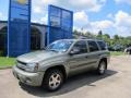 2004 Silver Green Metallic Chevrolet TrailBlazer LS 4x4  photo #1