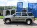 2004 Silver Green Metallic Chevrolet TrailBlazer LS 4x4  photo #2