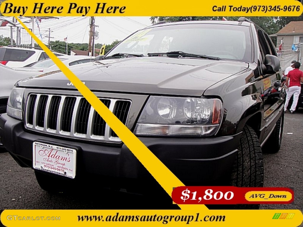 2004 Grand Cherokee Laredo 4x4 - Dark Khaki Pearl / Dark Slate Gray photo #1