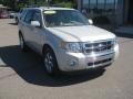 2009 Light Sage Metallic Ford Escape Limited V6  photo #1