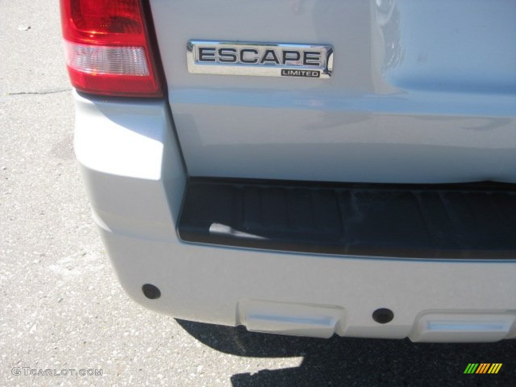 2009 Escape Limited V6 - Light Sage Metallic / Camel photo #19