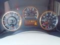  2011 Armada Platinum 4WD Platinum 4WD Gauges