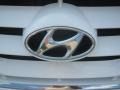 Pearl White - Santa Fe GLS Photo No. 24