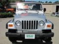 2003 Bright Silver Metallic Jeep Wrangler X 4x4  photo #14