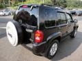 Black Clearcoat - Liberty Limited 4x4 Photo No. 6