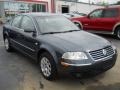 2002 Blue Anthracite Pearl Volkswagen Passat GLS Sedan  photo #15